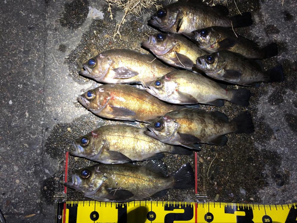 つぬけメバリング