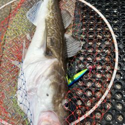 オフショアジギングin白老