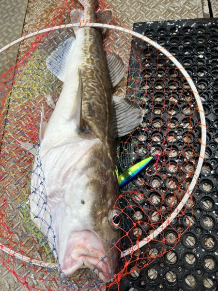 オフショアジギングin白老