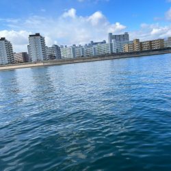 冬チニング其のニ