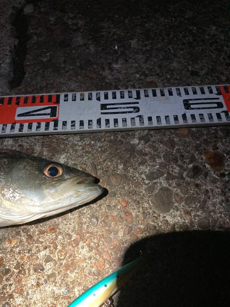 大寒中の釣行に成功