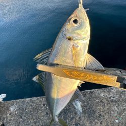 正月休み最後に