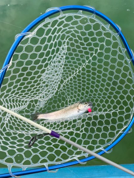 2023初エリアトラウト