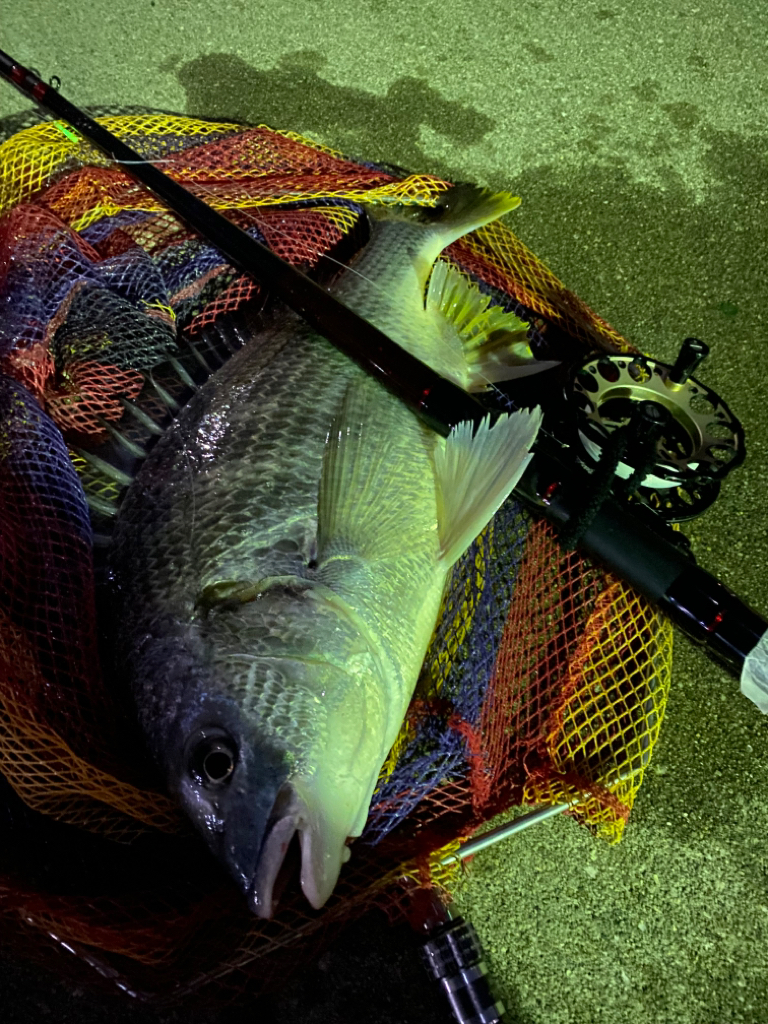 ヘチってきました