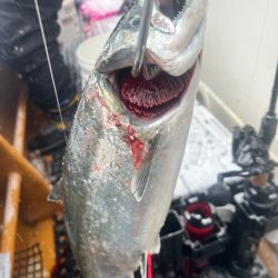 オフショアジギングin羅臼