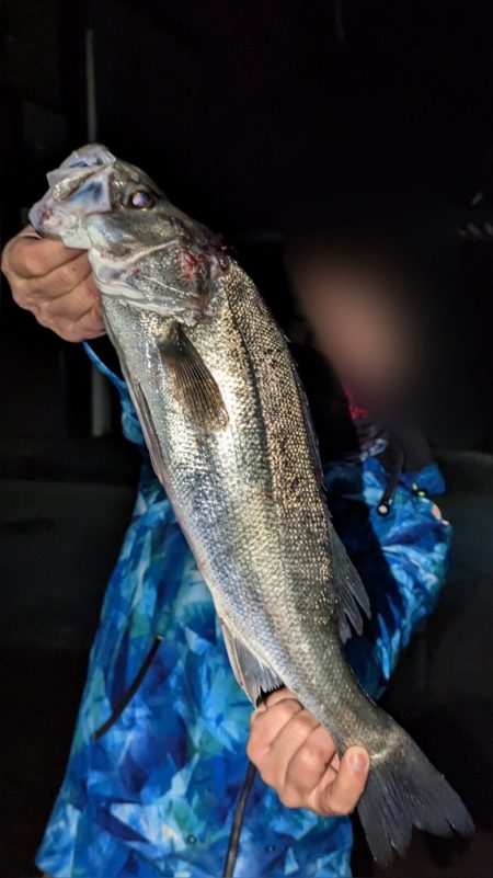 2023初釣りボートシーバス