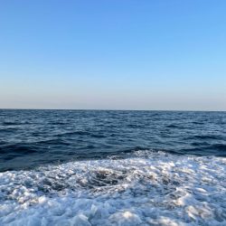 新年最初のジギング