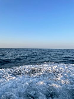 新年最初のジギング