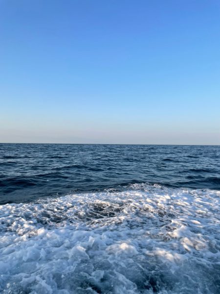 新年最初のジギング