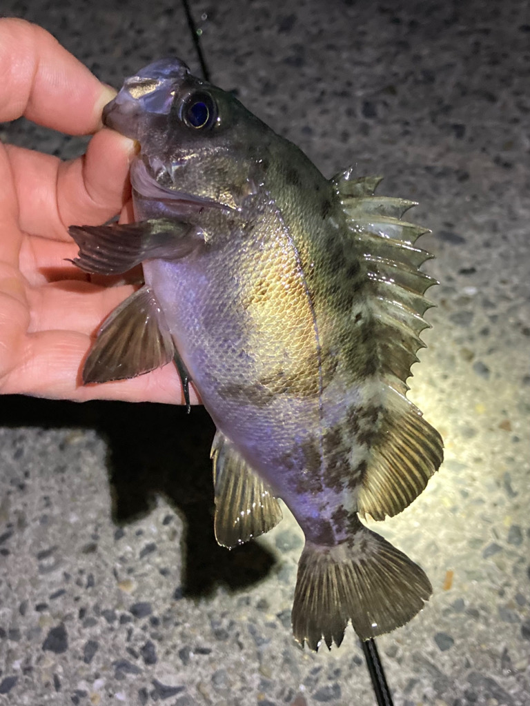 寒波が来る前に