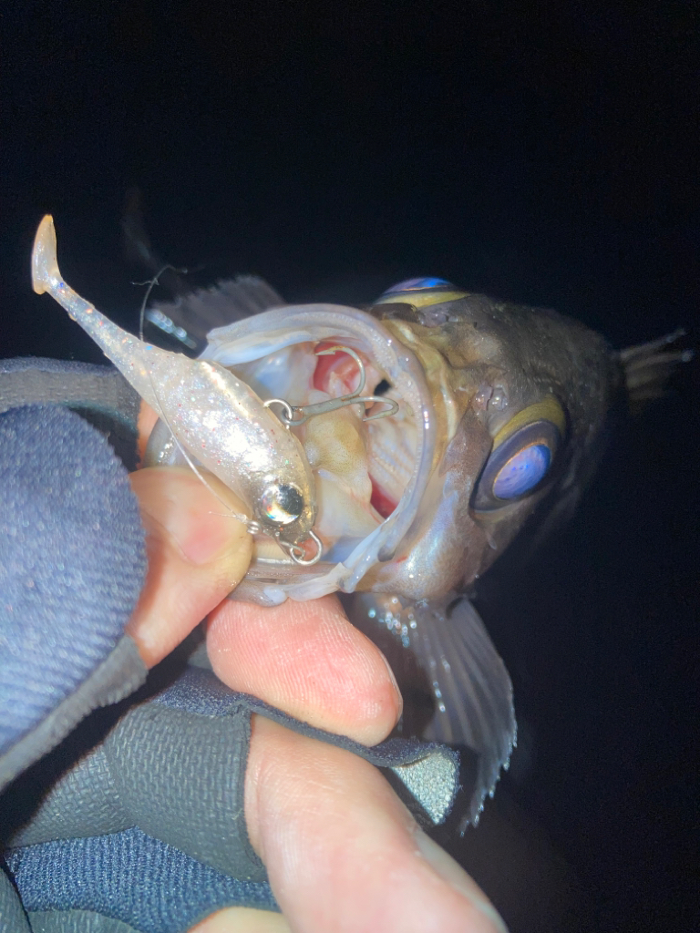 2023ライトゲーム第2戦