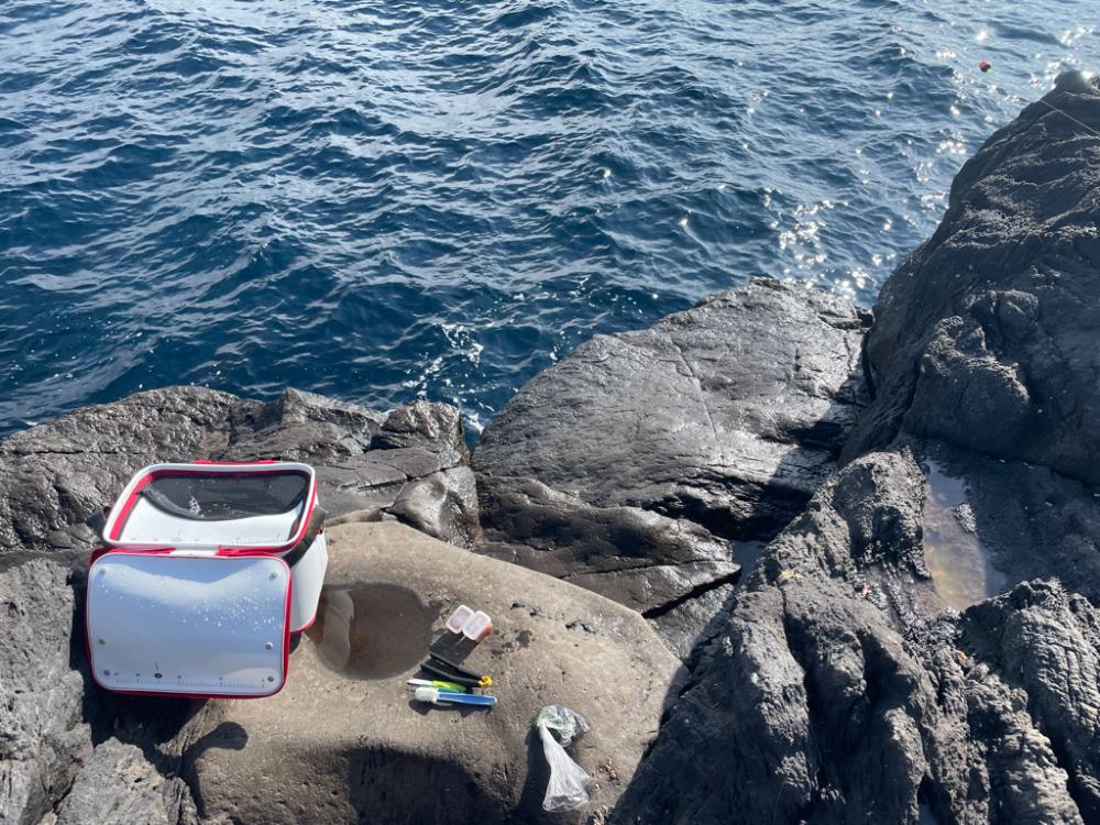 地磯釣行 カンノンガ根