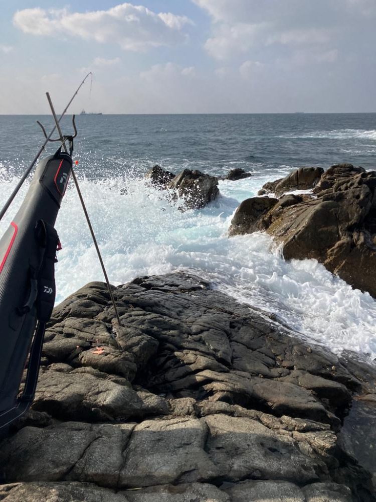 磯でグレ&イスズミ