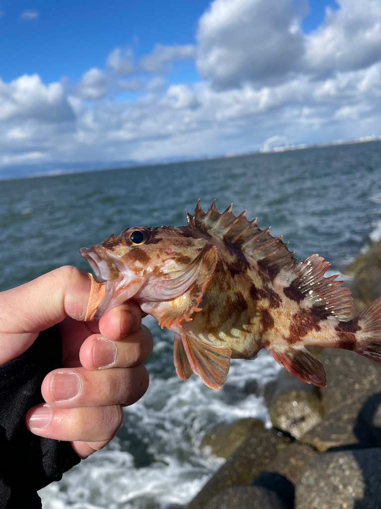 帰ってきた穴釣りNo.3