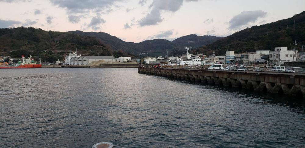 アジ探し@下津周辺