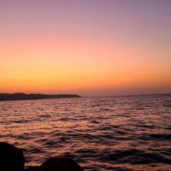 和歌山市江（吉丸渡船）でグレ釣り