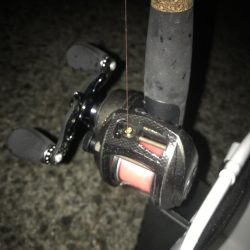 ブラクリ&イカ短冊でガシラ5匹GET