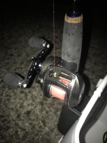 ブラクリ&イカ短冊でガシラ5匹GET