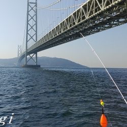 超短い時合いを攻略してアジゲット！