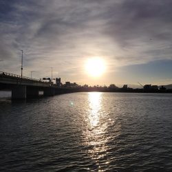 コノシロパターン