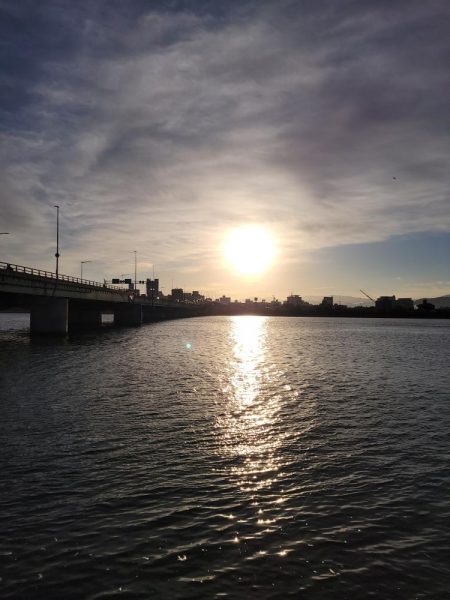 コノシロパターン