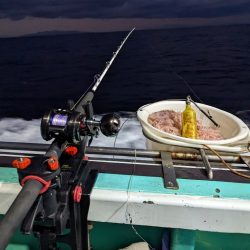 イシダイ初GET✨