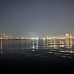 2023年釣りはじめ