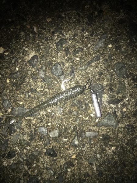 ボトムずる引きでガシラ釣り