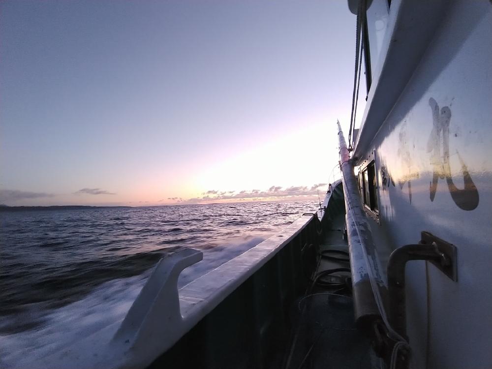 トンボジギング