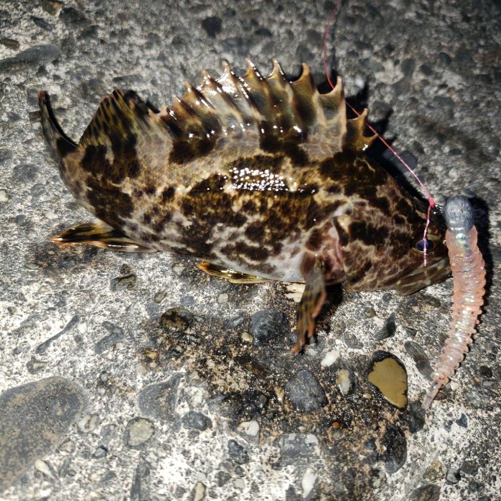 癒し系の穴釣り！