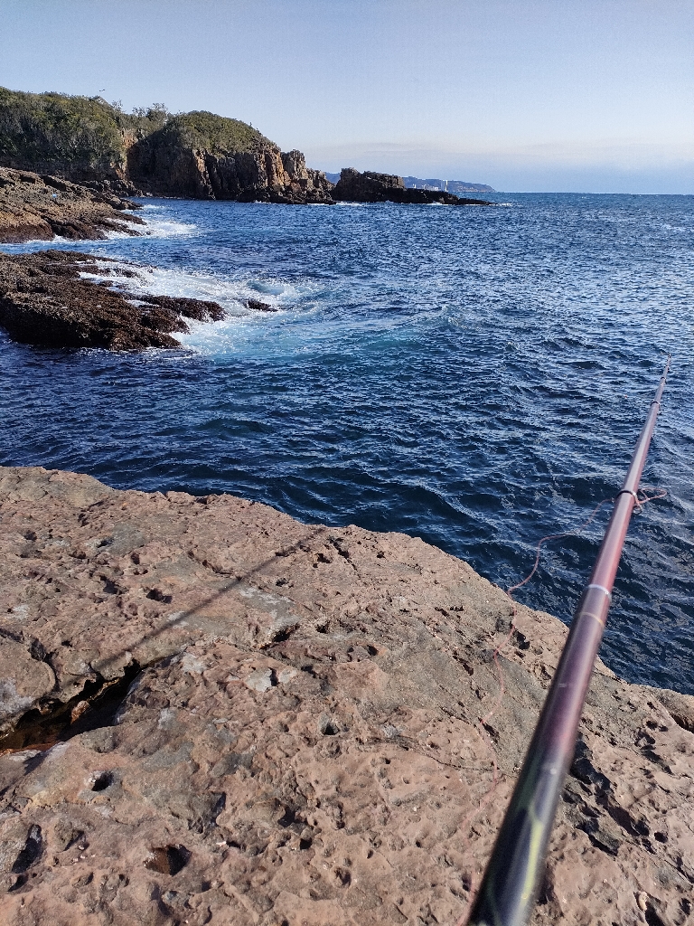 1/26おじさん釣れた