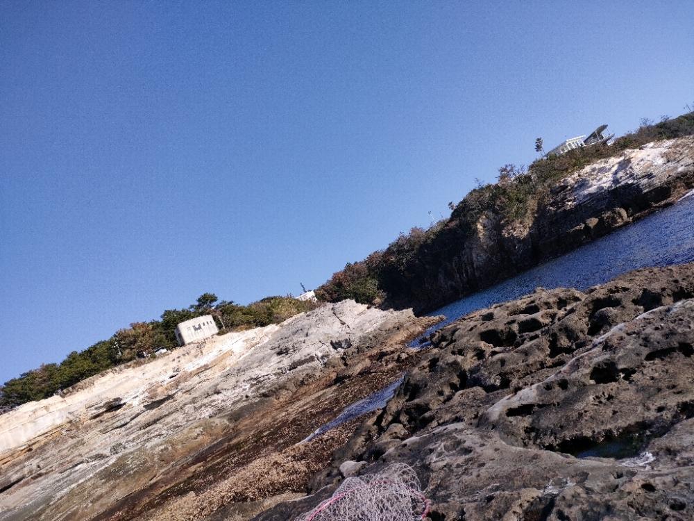 とんでもないものが釣れました！