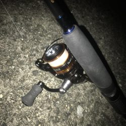 直リグでガシラ&マゴチGET