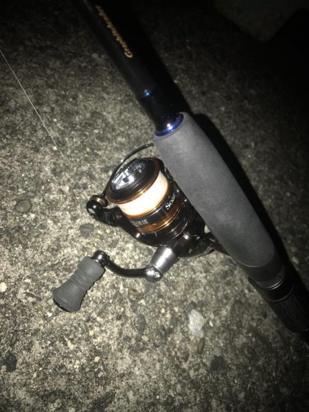 直リグでガシラ&マゴチGET