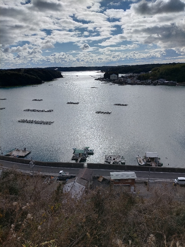 カマスゲット!!