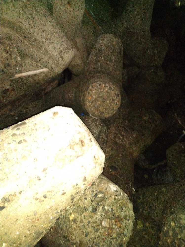 ちょい釣り20230120