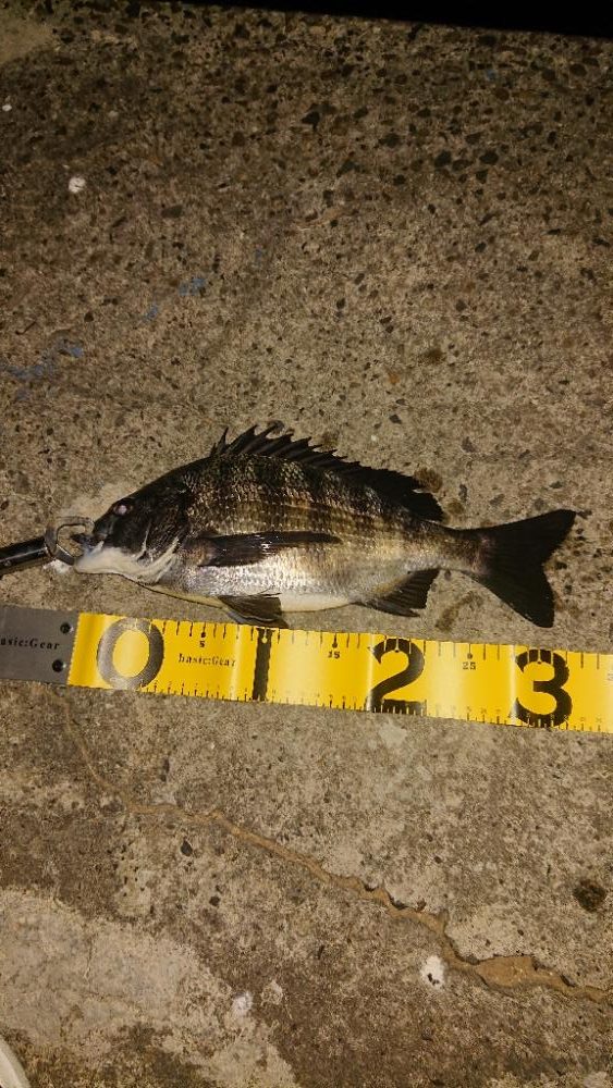 年明け1発目に事故🎵