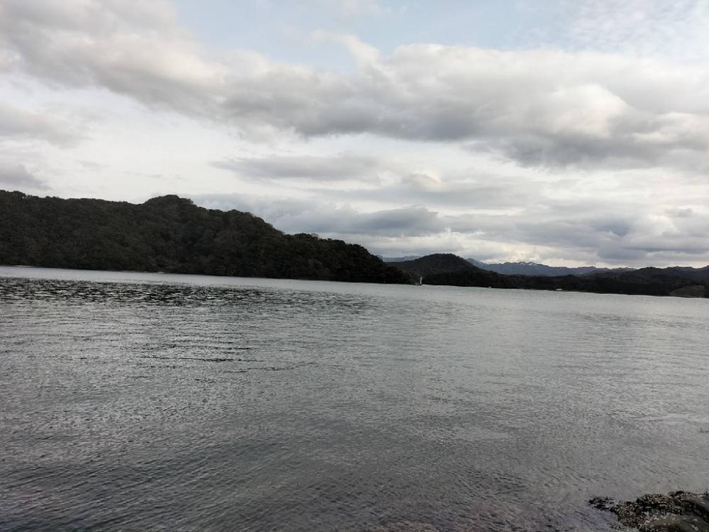 アジングも渋い