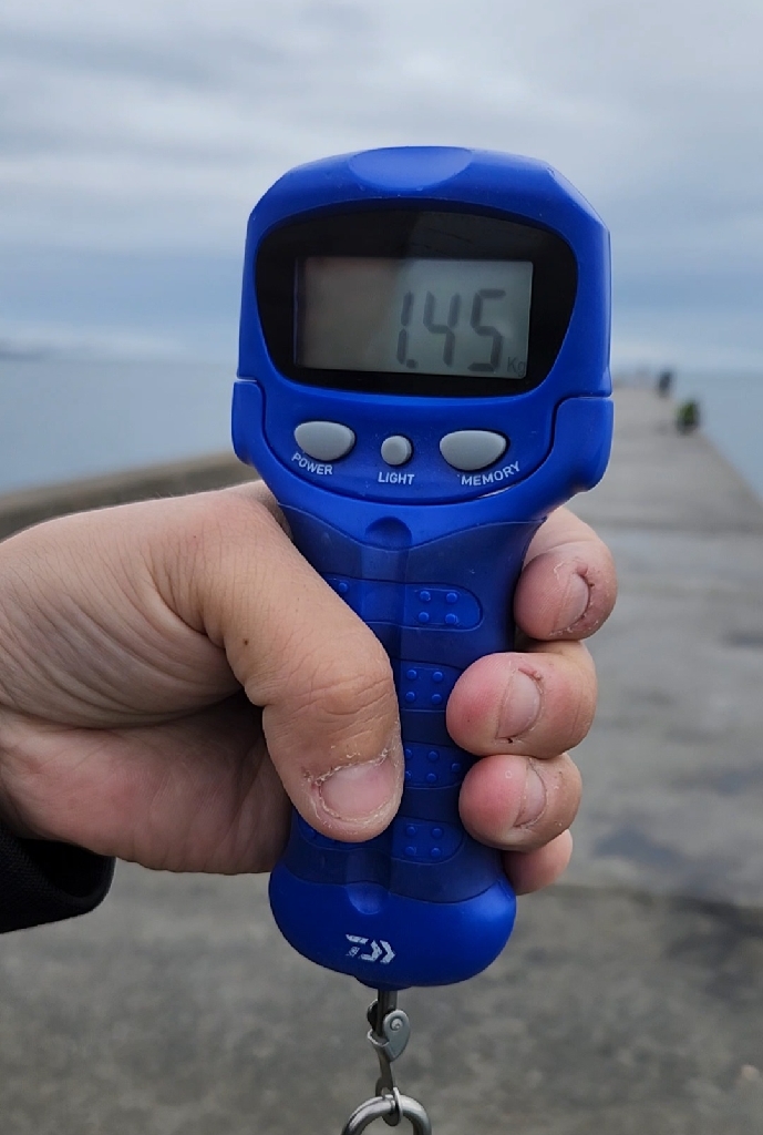 2023年 初キロアップ