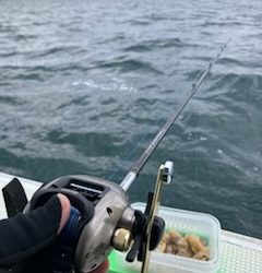 三邦丸さんカワハギ専門便