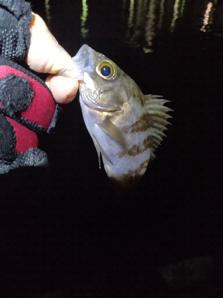 厳しい季節です