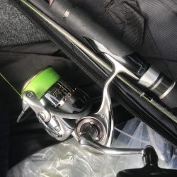 ダイソージグでカマスGET