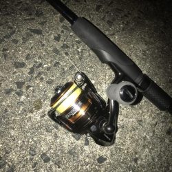 直リグ改良で100発100中ガシラGET