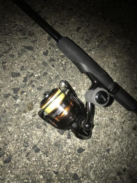 直リグ改良で100発100中ガシラGET