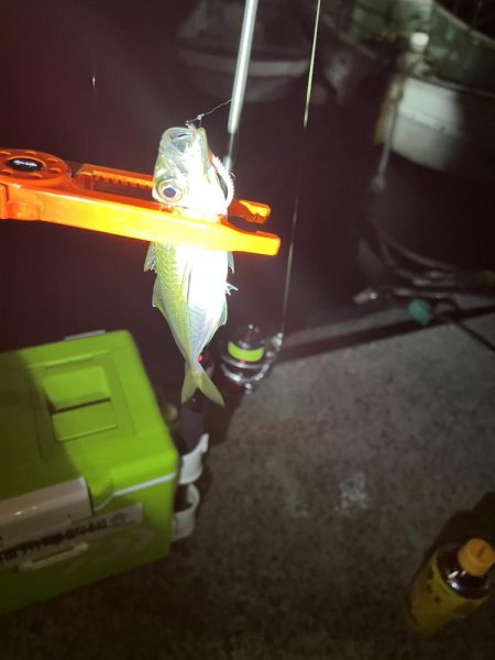 初釣り　淡路島