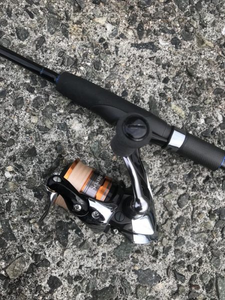 ブラクリ&イカ短冊でガシラ釣り