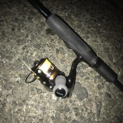 直リグでガシラ5匹GET