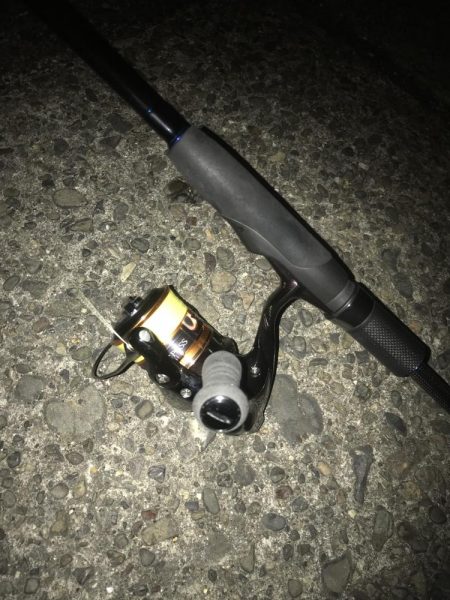 直リグでガシラ5匹GET