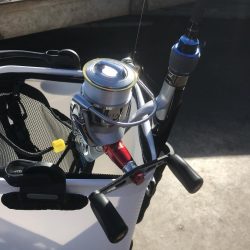 デイゲームでガシラ釣り