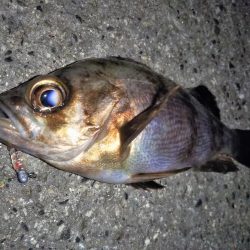 潮が止まるまでの勝負